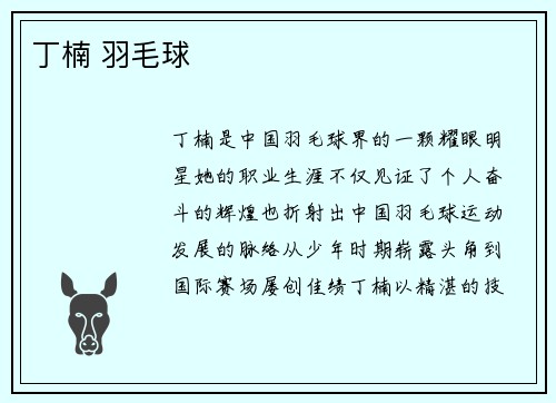 丁楠 羽毛球