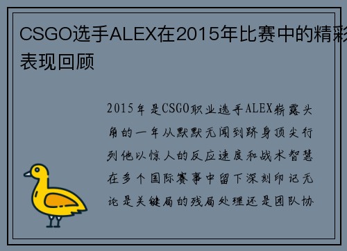 CSGO选手ALEX在2015年比赛中的精彩表现回顾