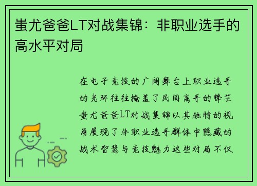 蚩尤爸爸LT对战集锦：非职业选手的高水平对局