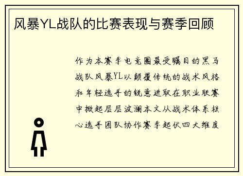 风暴YL战队的比赛表现与赛季回顾